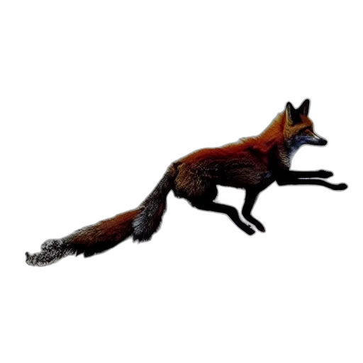 animal, creature, staff, dragon transparent PNG cut-out