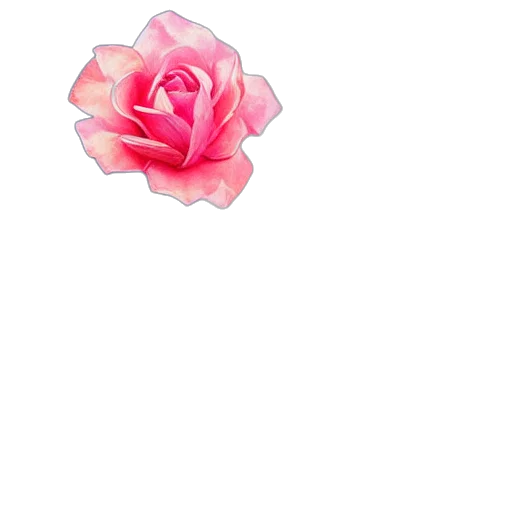 flower, crown, jewelry, staff transparent PNG cut-out
