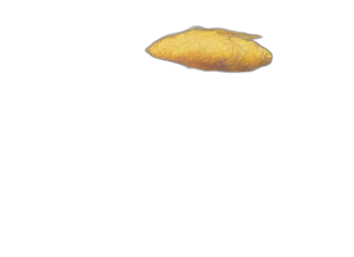 food, hat, umbrella, shoes transparent PNG cut-out