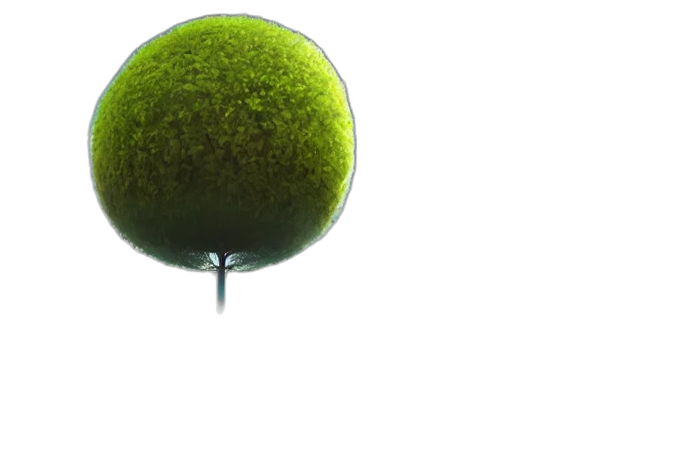 tree, staff, umbrella, crown transparent PNG cut-out