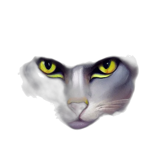 animal, face, creature, mask transparent PNG cut-out