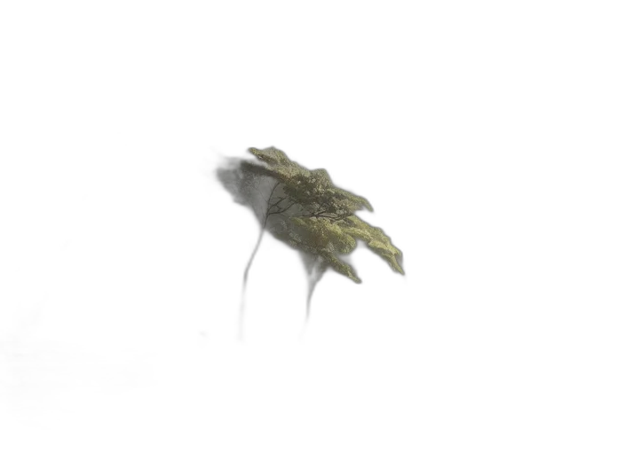 dragon, creature, animal, hair transparent PNG cut-out