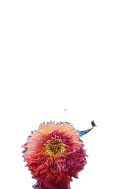 flower, staff, umbrella, robot transparent PNG cut-out