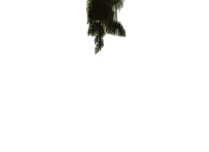 animal, creature, hair, dragon transparent PNG cut-out