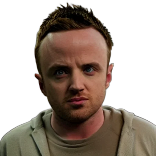 face, staff, animal, hair transparent PNG cut-out