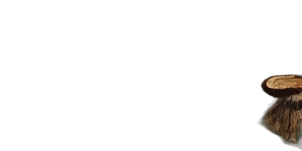 staff, face, monochrome, pastel transparent PNG cut-out