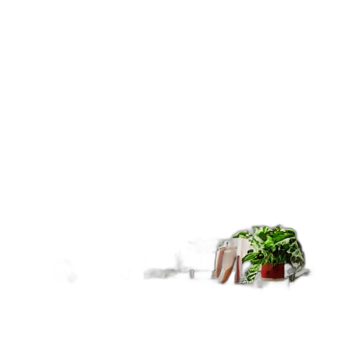 furniture, food, robot, flower transparent PNG cut-out