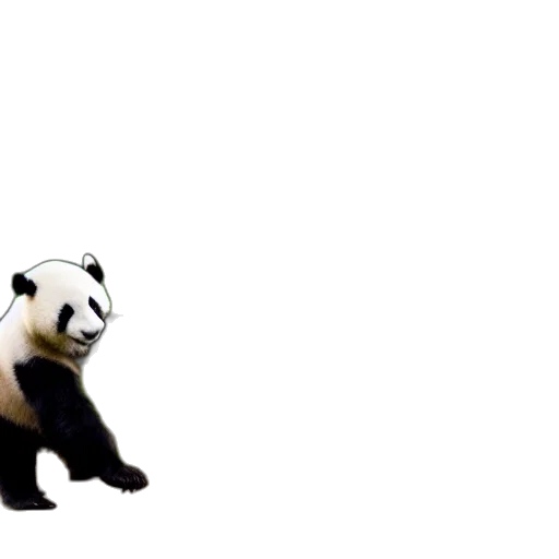 animal, creature, 3d render, concept art transparent PNG cut-out
