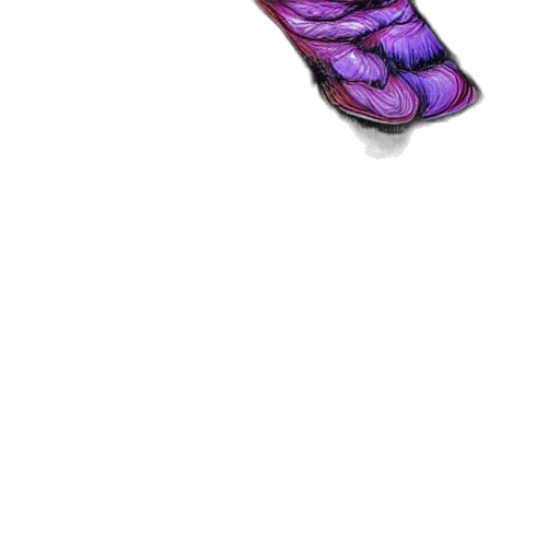 shoes, flower, dragon, staff transparent PNG cut-out