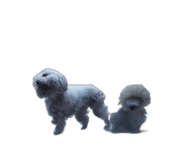 creature, hair, animal, staff transparent PNG cut-out