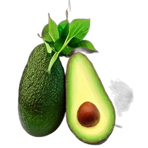 food, animal, hat, weapon transparent PNG cut-out