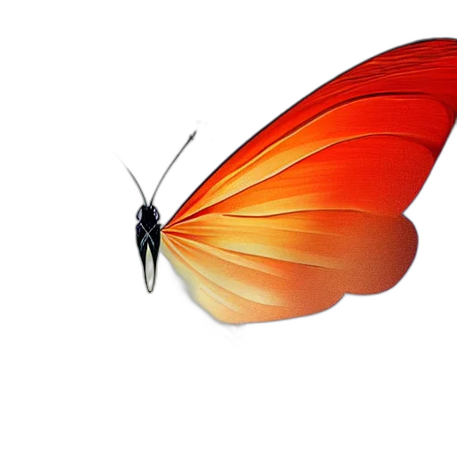 animal, flower, jewelry, creature transparent PNG cut-out