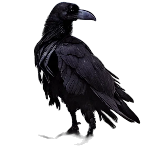 animal, creature, staff, crown transparent PNG cut-out
