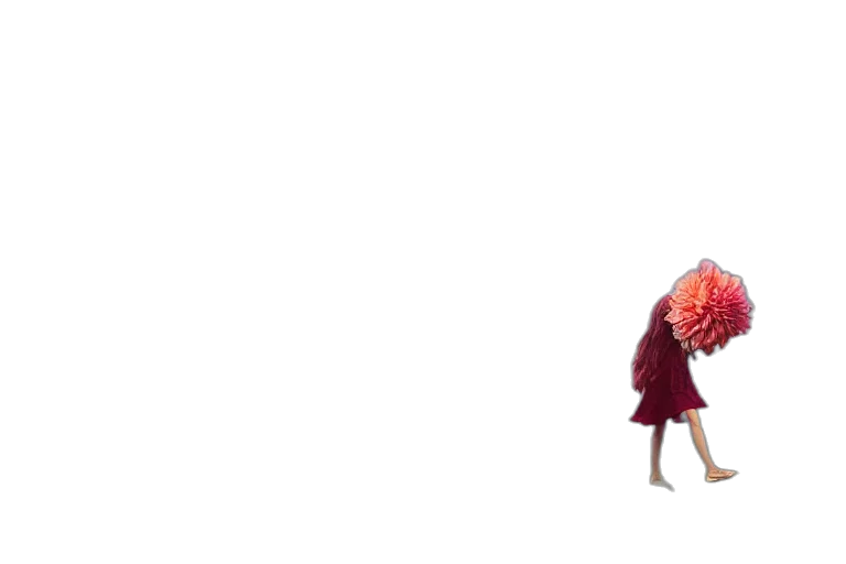 umbrella, flower, dress, creature transparent PNG cut-out