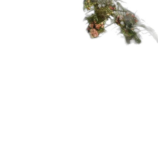 flower, dragon, tree, crown transparent PNG cut-out