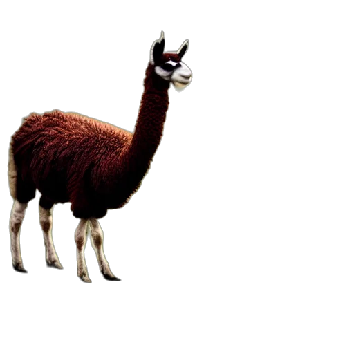 animal, creature, hat, staff transparent PNG cut-out
