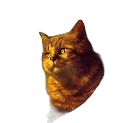 animal, staff, creature, face transparent PNG cut-out