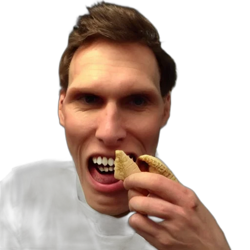 food, creature, face, animal transparent PNG cut-out