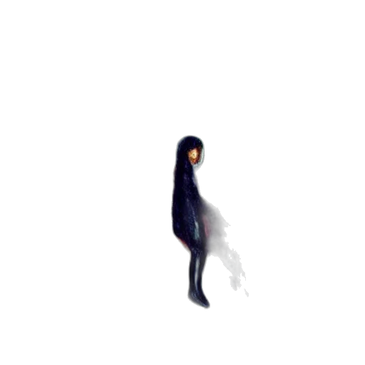 creature, hair, robot, staff transparent PNG cut-out
