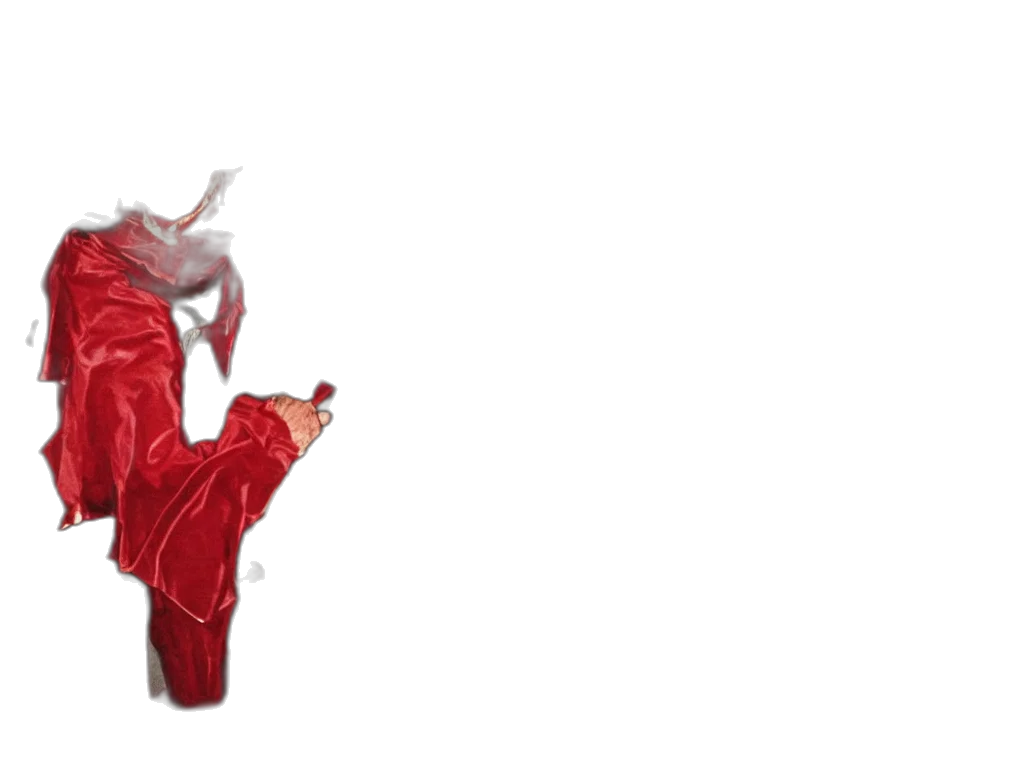 dragon, shoes, mask, creature transparent PNG cut-out