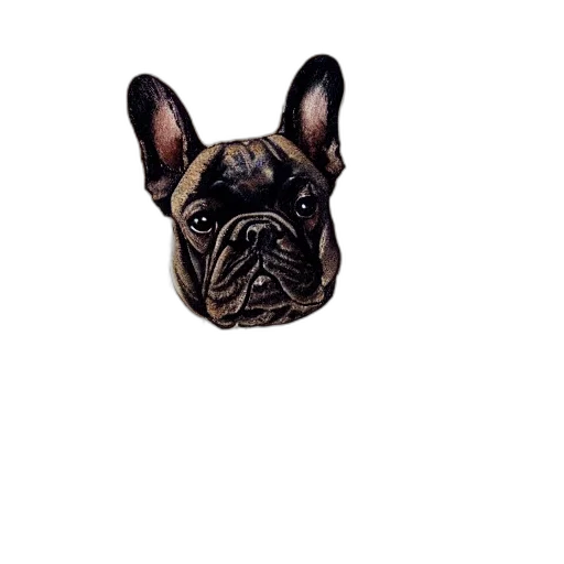 animal, face, creature, mask transparent PNG cut-out