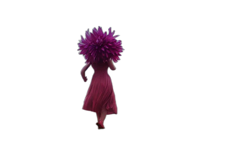 dress, flower, hair, hat transparent PNG cut-out