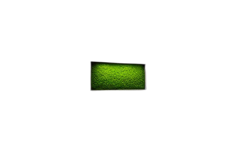 bottle, food, jewelry, tree transparent PNG cut-out
