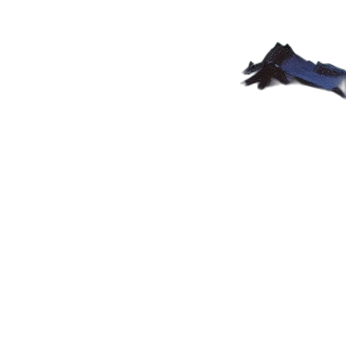 dragon, umbrella, animal, weapon transparent PNG cut-out