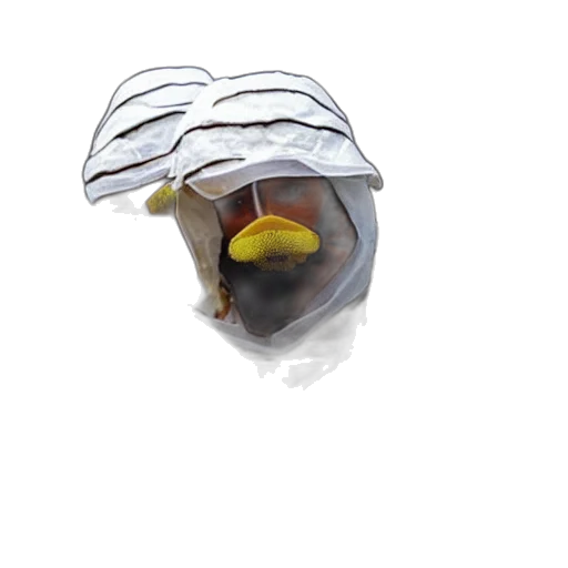 jewelry, crown, mask, hat transparent PNG cut-out
