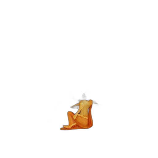 shoes, hat, food, animal transparent PNG cut-out