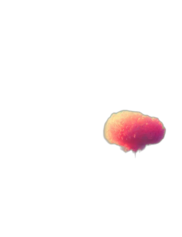 crown, hat, umbrella, hair transparent PNG cut-out
