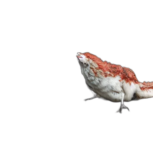 animal, dragon, creature, hat transparent PNG cut-out