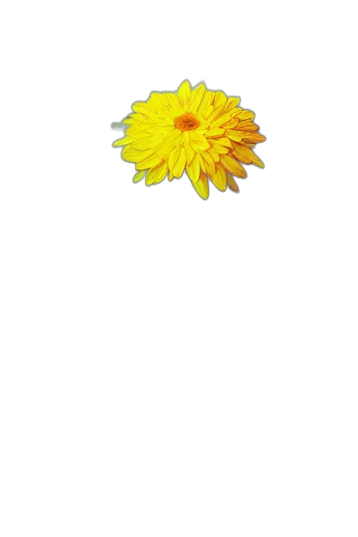 flower, staff, jewelry, crown transparent PNG cut-out