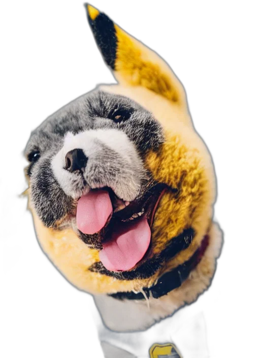 animal, creature, mask, face transparent PNG cut-out