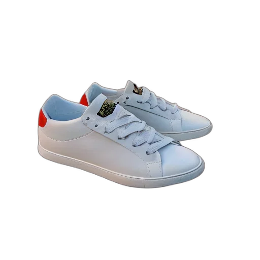 shoes, 3d render, vaporwave, photorealistic transparent PNG cut-out