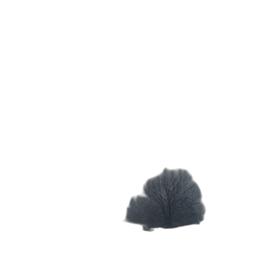 hat, hair, crown, animal transparent PNG cut-out