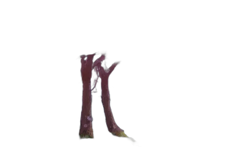 tree, staff, shoes, weapon transparent PNG cut-out