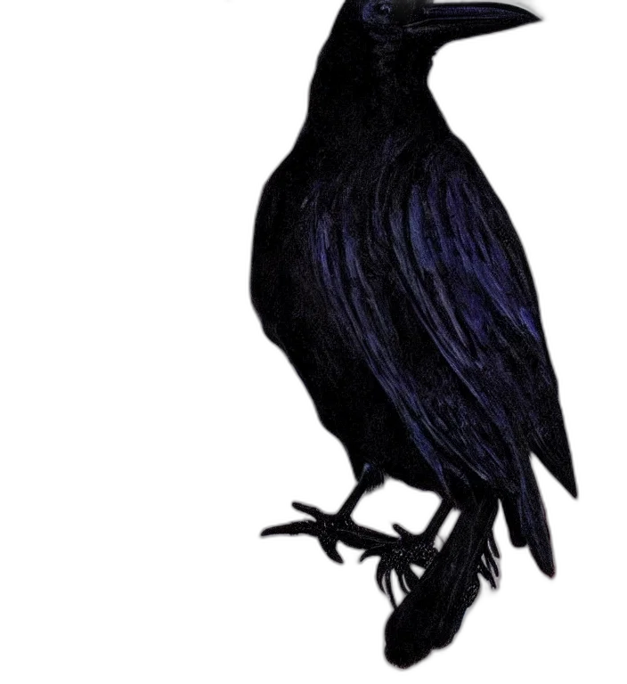 animal, dress, creature, mask transparent PNG cut-out