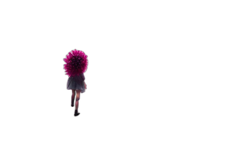 hair, flower, umbrella, dress transparent PNG cut-out