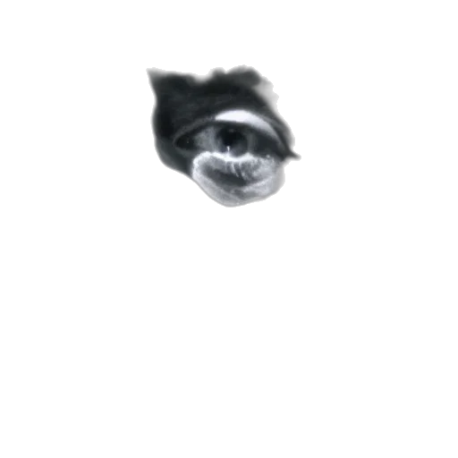 mask, face, animal, creature transparent PNG cut-out