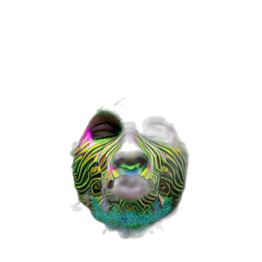 mask, face, creature, animal transparent PNG cut-out