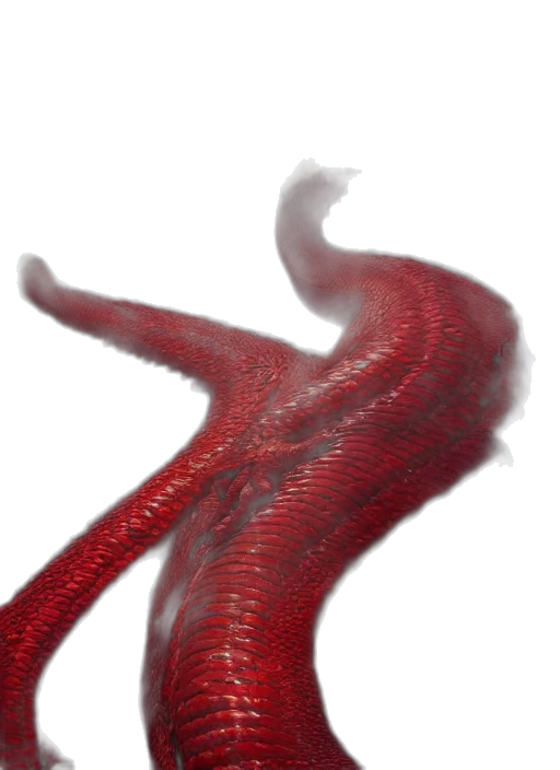 dragon, creature, hair, animal transparent PNG cut-out