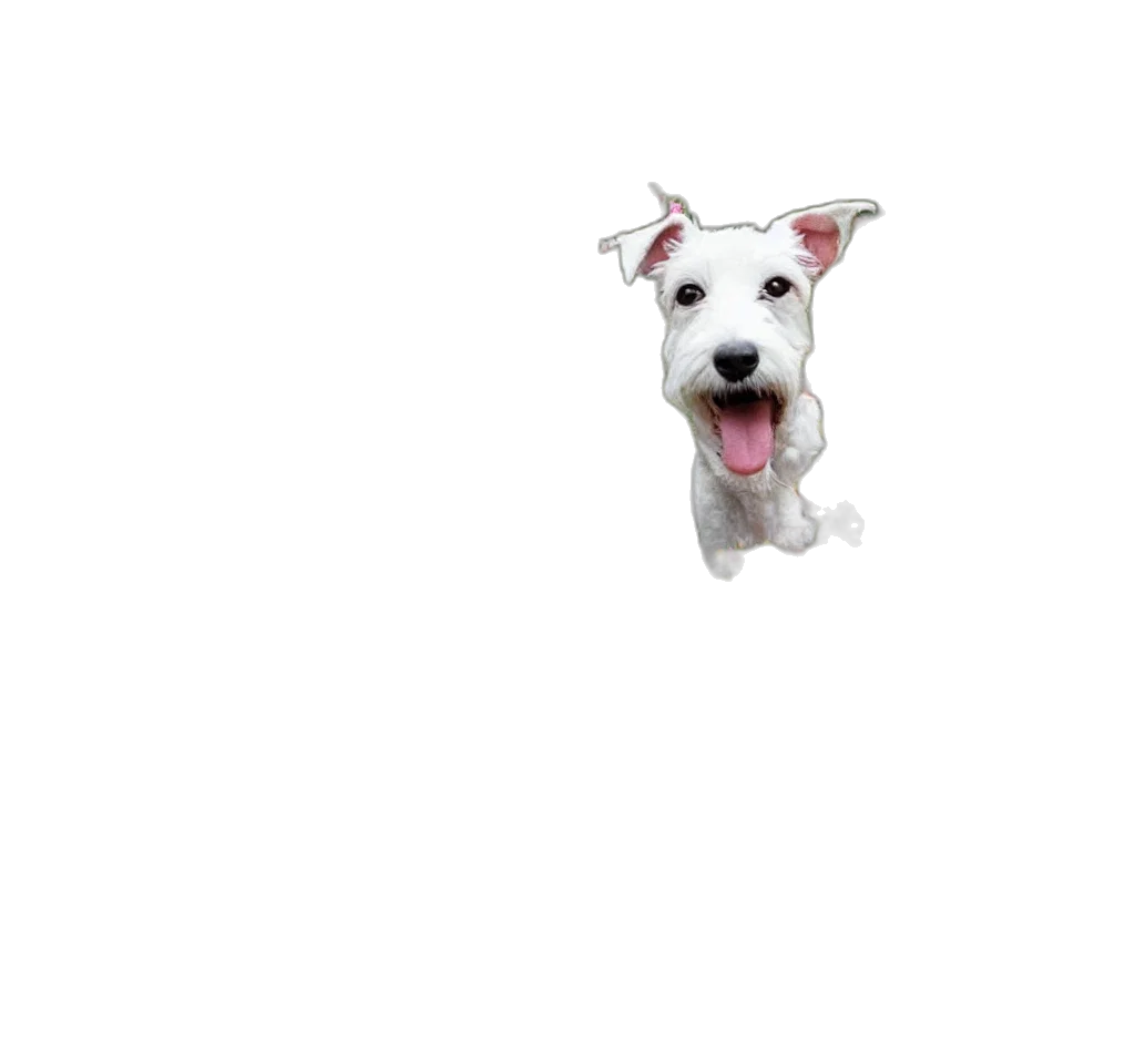 animal, staff, creature, robot transparent PNG cut-out