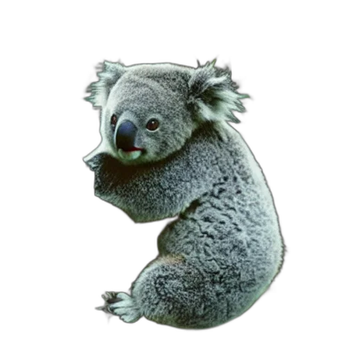 animal, creature, staff, jewelry transparent PNG cut-out