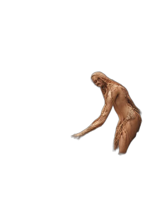 creature, hair, animal, furniture transparent PNG cut-out