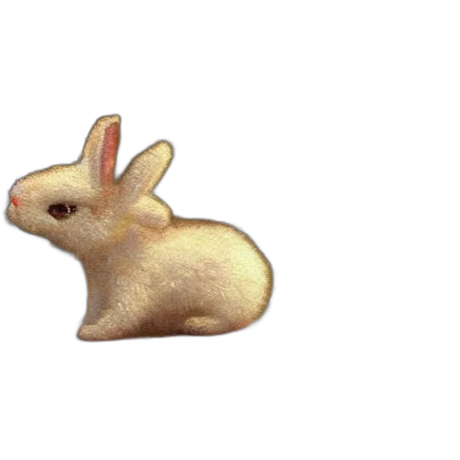 animal, food, creature, weapon transparent PNG cut-out