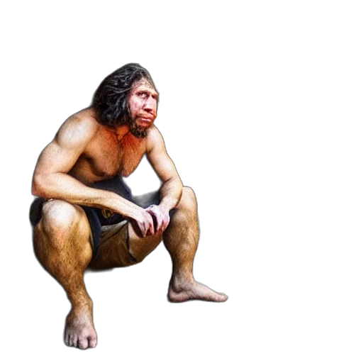 creature, animal, hair, food transparent PNG cut-out