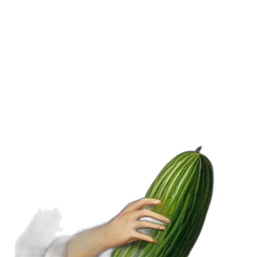 food, staff, weapon, hat transparent PNG cut-out