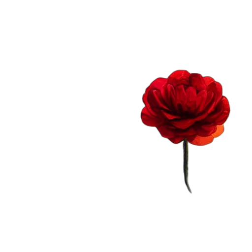 flower, crown, jewelry, weapon transparent PNG cut-out