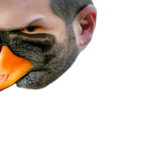 mask, animal, face, creature transparent PNG cut-out